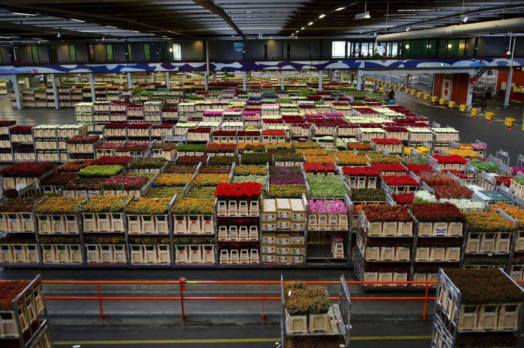 crates of flowers in warehouse